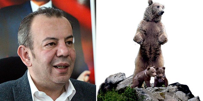Bolu'ya 10 metrelik bozayı heykeli yapılacak