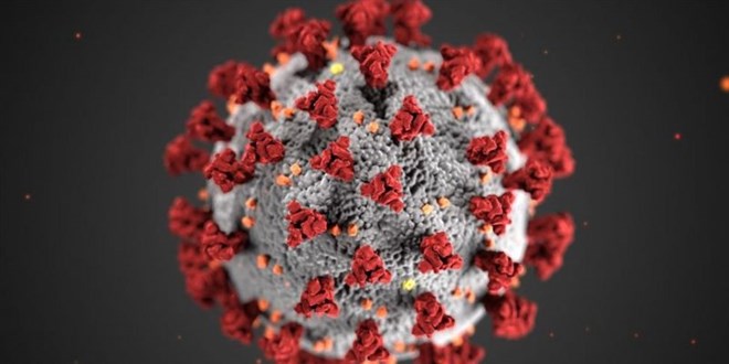 ngiltere'de endie verici bir koronavirs mutasyonu daha bulundu