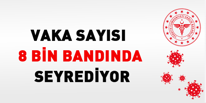 Vaka sayısı 8 bin bandında seyrediyor