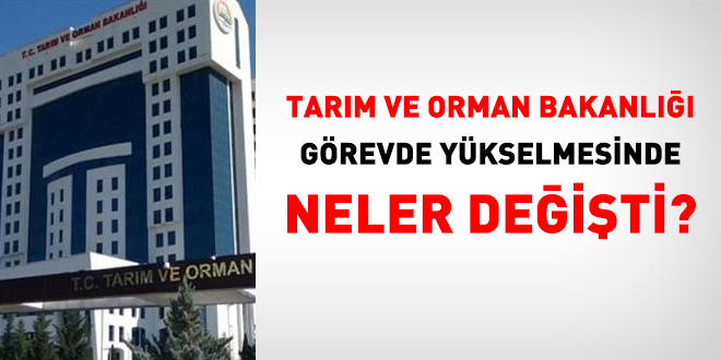 Tarm ve Orman Bakanl grevde ykselmesinde neler deiti?