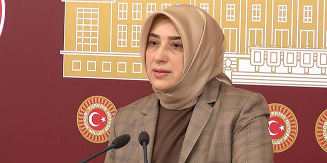 Özlem Zengin: HDP'nin kapatılmasına AYM karar verecek