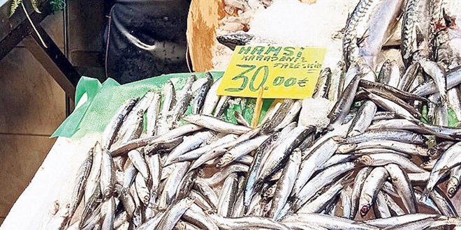 Hamsinin fiyatı boyunu aşıyor