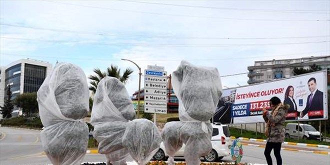 Belediye ağaçları elyaf ile soğuktan koruyor
