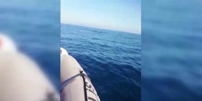 İzmir'de polis botuna yunuslar eşlik etti
