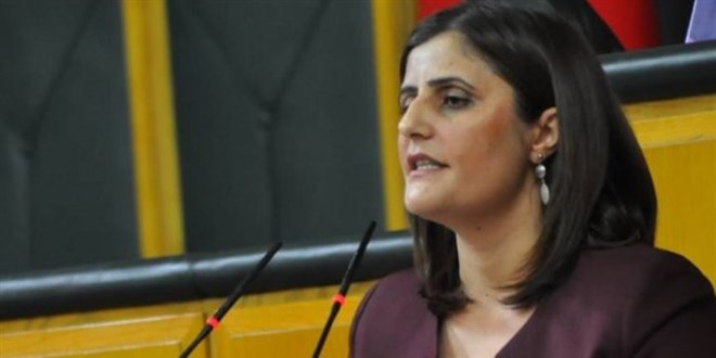 Gara'ya giden HDP'li vekile soruşturma