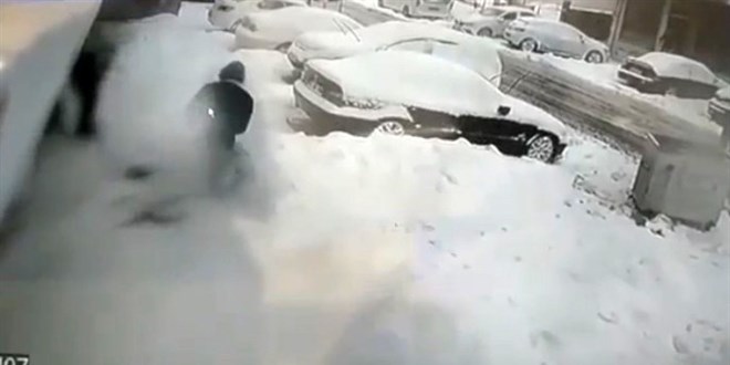 İstanbul'da pitbull dehşeti