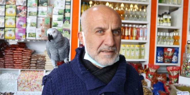 Bu papağan '500 kelime biliyor, ilahi ve dua okuyor'
