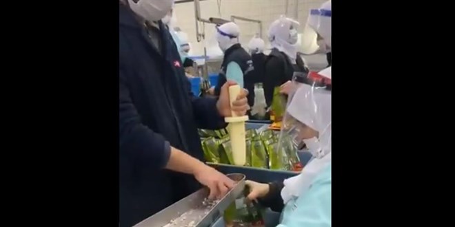 Ton balıklarının paketlenme görüntüleri tepki çekti