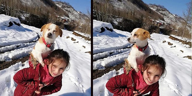Küçük Cemre hastalanan köpeğini sırtında veterinere götürdü