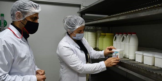 Üniversitede üretilen organik süt ürünlerinin geliri bilimsel araştırmalara kaynak sağlayacak