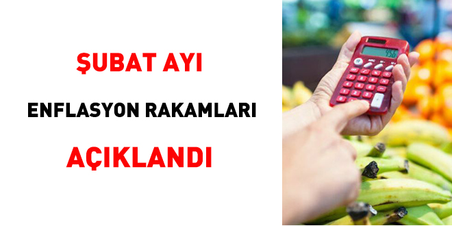 Şubat ayı enflasyon rakamları açıklandı