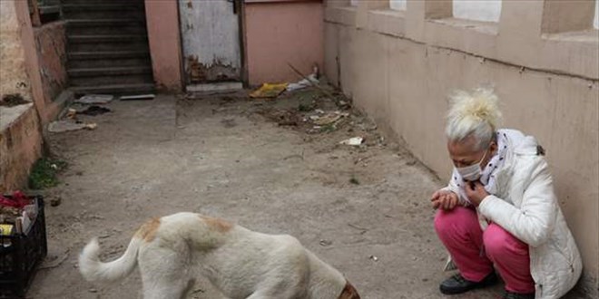 Edirne'de 8 k�pek yavrusu �l�s� bulundu