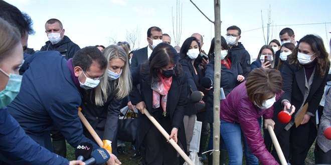Pervin Buldan ve Ekrem İmamoğlu birlikte fidan dikti