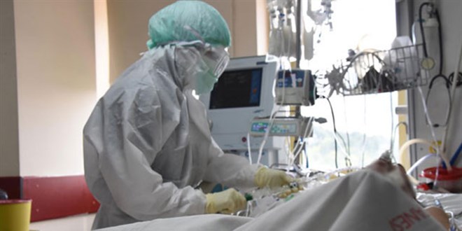 Prof. Dr. Yal��n: Hasta oran� y�zbinde 78'den 82'ye ula�t�