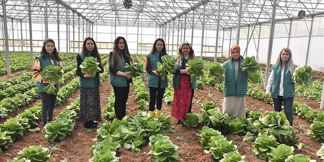 7 kad�n kurduklar� kooperatifle ihracata ba�lad�