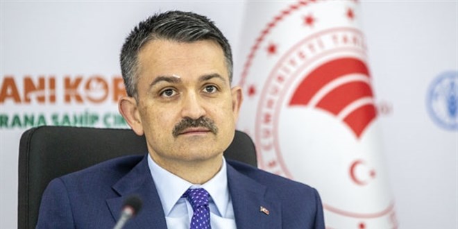 Pakdemirli: Sütü sınıflandıracağız