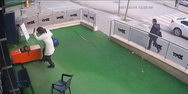 İş yeri bahçesindeki hamile kediye saldırı kamerada