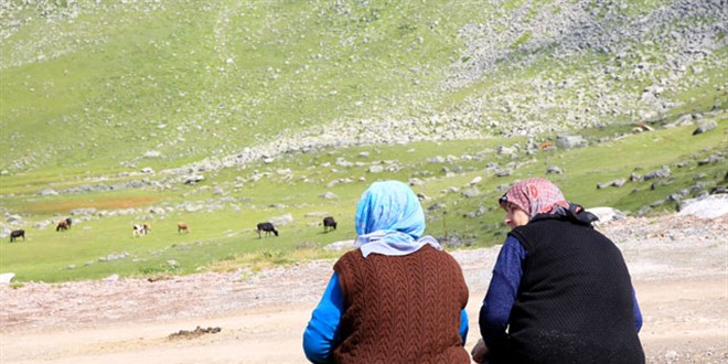 Karadeniz'de vakalar aynı soyadlarda kümeleniyor