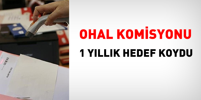 OHAL Komisyonu 1 yıllık hedef koydu