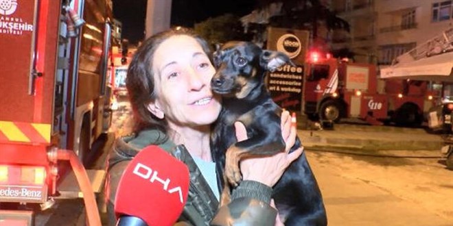 Kahraman k�pek, sahibini �l�mden kurtard�!