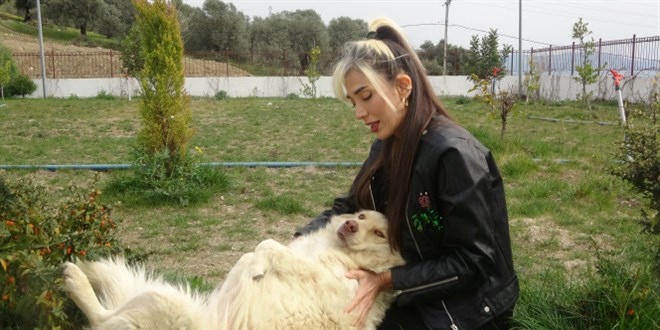 Fatma öğretmenden sessiz canlara adanmış bir hayat