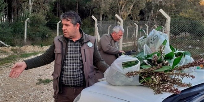 İzinsiz orkide topladılar! 160 bin 930 TL para cezası kesildi