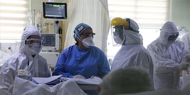 'Altı eğitimci Kovid kurbanı'