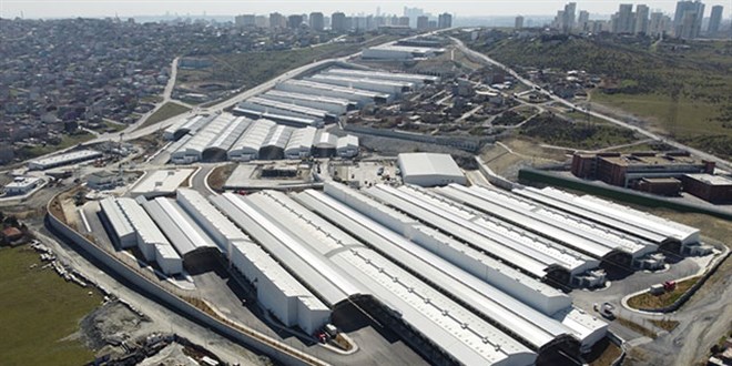 36 yllk Rami Hali, Baakehir'deki modern arya tanyor