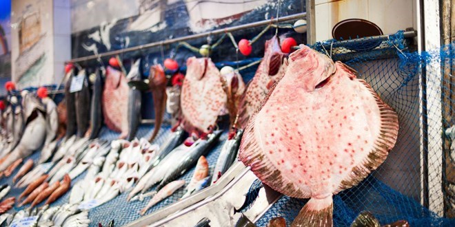 Kalkan balığı tezgaha kilosu 250 liradan giriş yaptı
