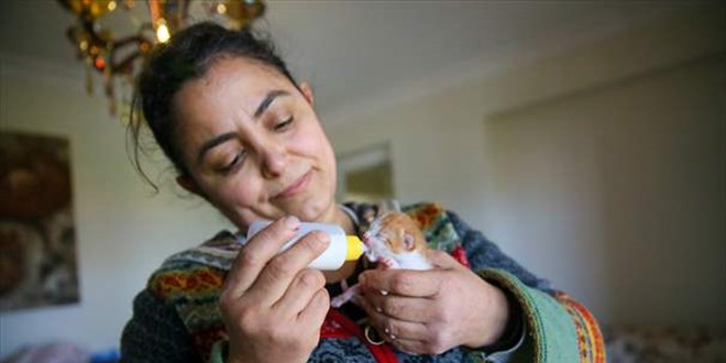 Öğretmen baktığı 7 köpek ve 11 kedi için 'Laborant ve Veterinerlik' bölümünü bitirdi