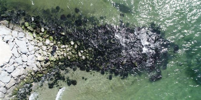 İstanbul'da deniz çekildi, görenler tedirginlik yaşadı