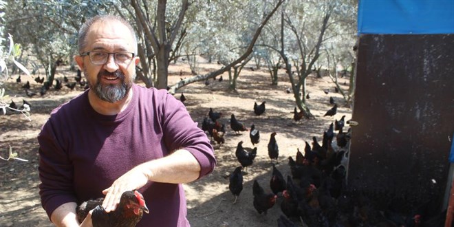 Hobi olarak başladı, günde 600 yumurta üretiyor