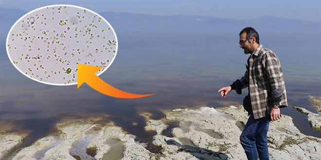 Yeşil alg patlaması, Burdur Gölü'nün rengini değiştirdi