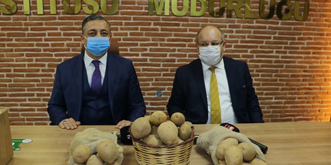 Yerli ve milli patates Avrupa yolunda