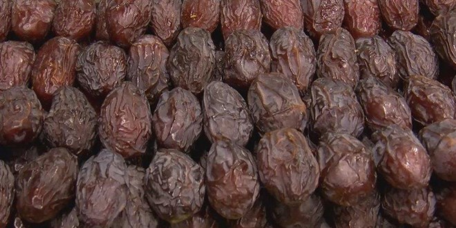 Hurmann tanesi 5 liraya satlyor