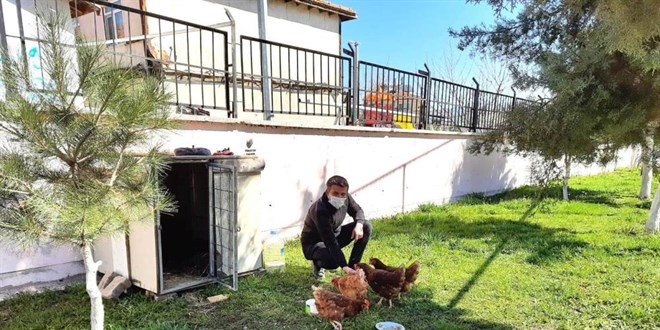 Okul bahçesinde tavuk kümesi