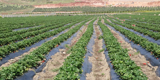 Devlet desteiyle balad, 70 kiiye istihdam salyor