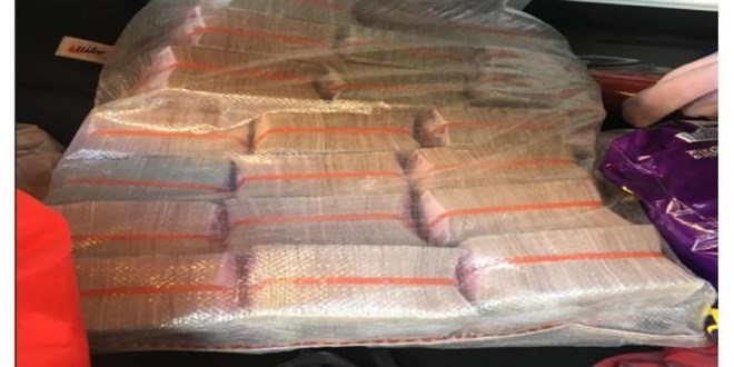 Avukat ve kamu görevlileri dahil 106 'arsa avcısı'na operasyon