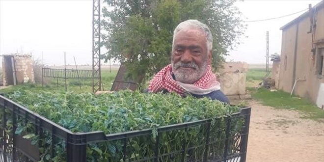 Barış Pınarı Harekatı bölgesinde tarımsal çeşitlilik artırılıyor