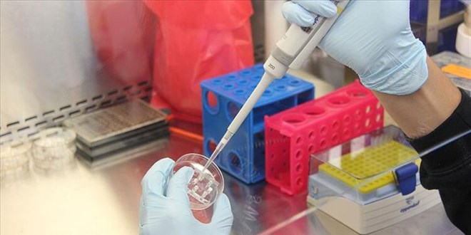 İçişleri'ne Türkiye'ye girişte PCR testi istenmeyecek ülkeler hakkında dilekçe