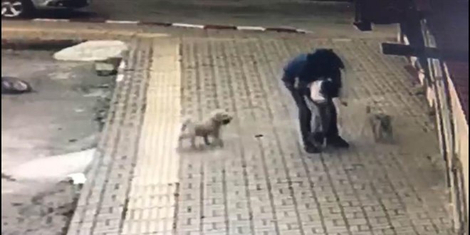 Bart�n'da dili bo�az�na ka�an �ocu�u bir vatanda� kurtard�