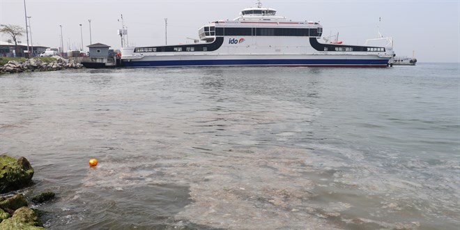 Yalova sahilindeki beyaz tabakanın nedeni belli oldu
