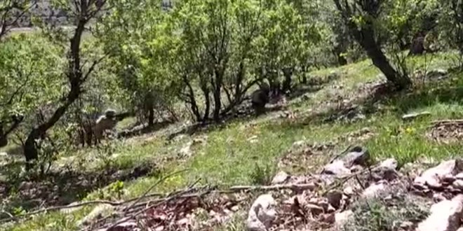Şırnak ve Hakkari'de teröristlere karşı iki yeni operasyon başladı