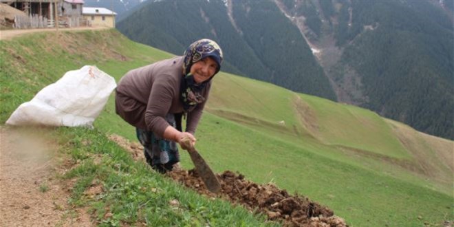 Hiç vaka görülmedi! Koronayı maskeli biri geldiğinde hatırlıyorlar