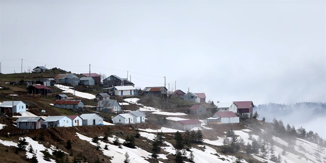 Yerleştikleri yaylalarda izole hayatın tadını çıkarıyorlar