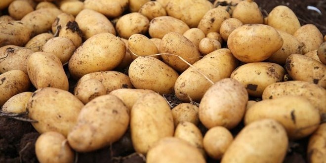 Ramazan'da fiyatı en çok artan ürün patates oldu