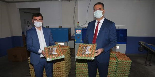 Ordu'da retilen organik yumurtalar Dubai'de tketiciyle buluacak