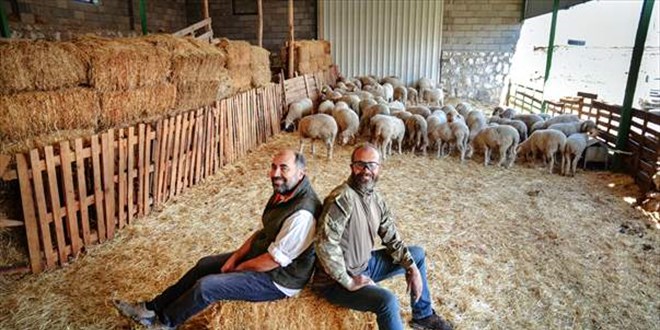 Kariyerlerini bırakıp kurdukları çiftlikte 800 hayvanlı sürünün sahibi oldular