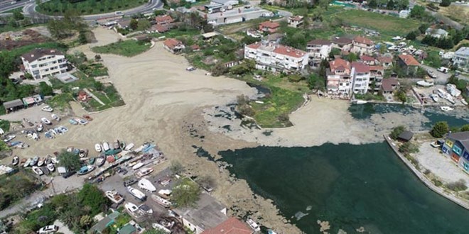 Menekşe Deresi deniz salyası ile kaplandı