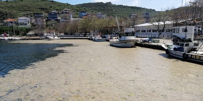 Msilaj Marmara'y kaplad: Bu yaz denize girilebilecek mi?
